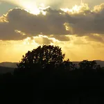 Podere La Branda * Vetralla