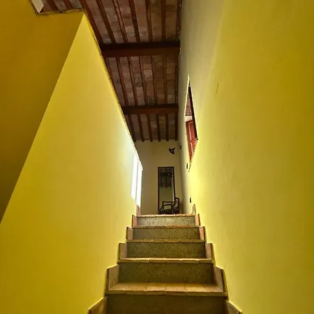 Podere La Branda Alloggio per agriturismo Vetralla