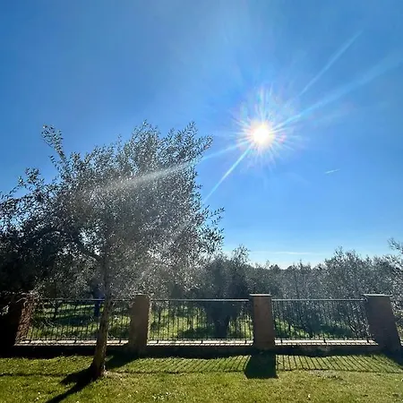 Podere La Branda Alloggio per agriturismo Vetralla