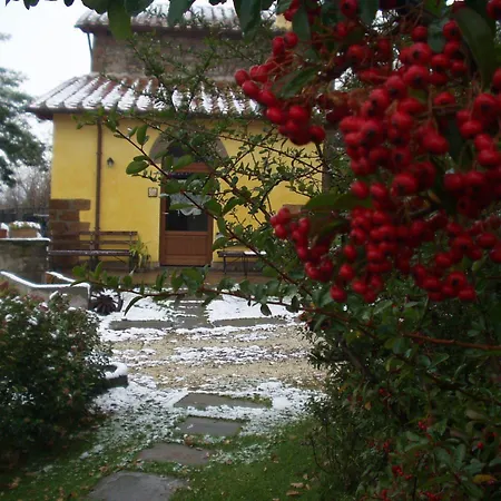 Podere La Branda مزرعة للإقامة *