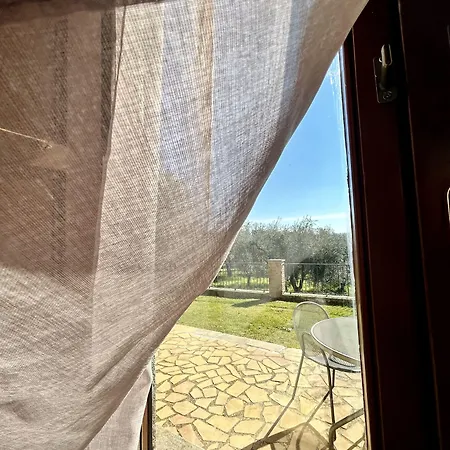 Podere La Branda Vetralla