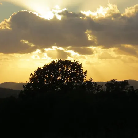 Podere La Branda * فيترالّا