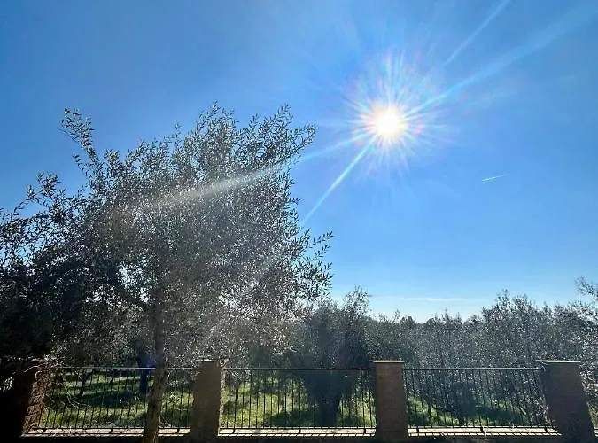 Podere La Branda 팜스테이 베트랄라